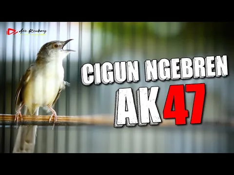 Download MP3 CIGUN GACOR NEMBAK SUPER NGEBREN