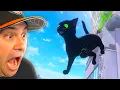 Download Lagu Lost in a BIG CITY as a Little Kitty!