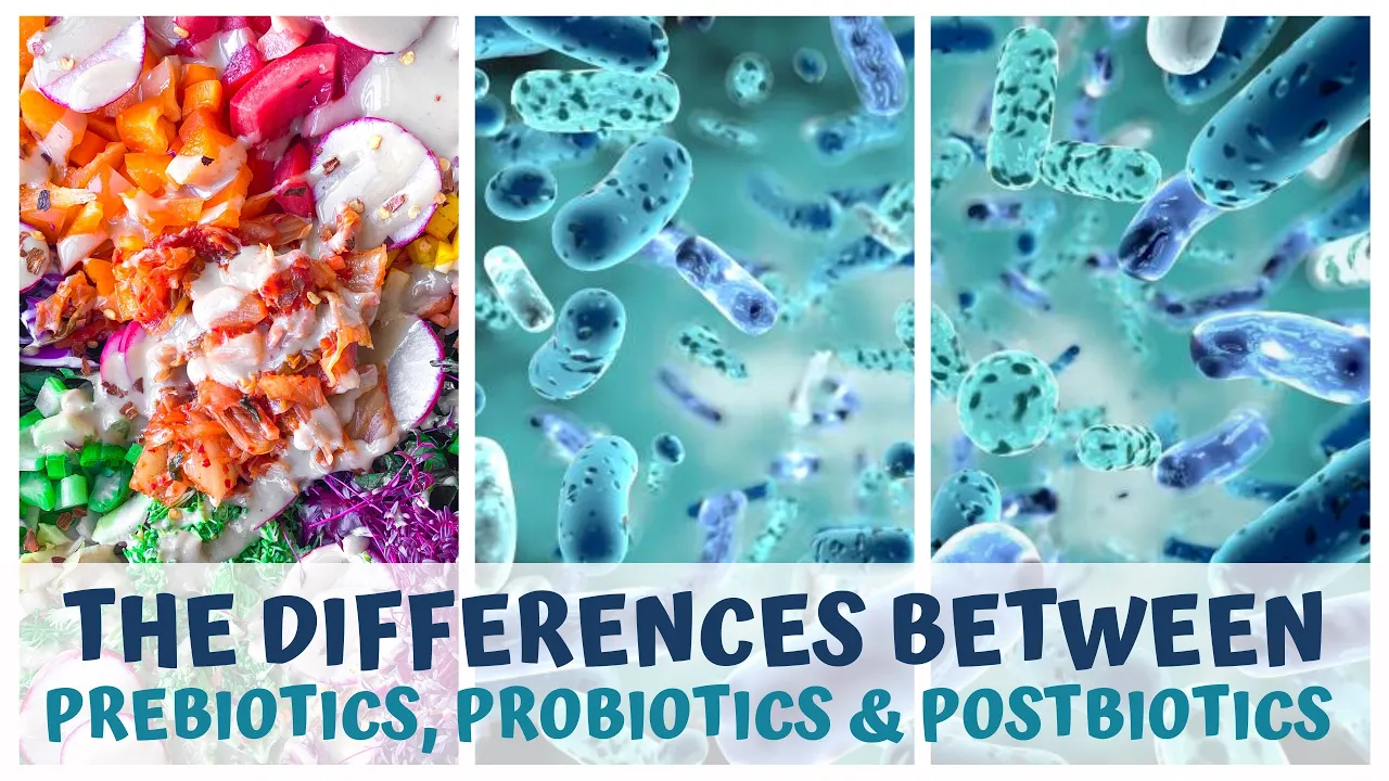 THE DIFFERENCES BETWEEN - PRE, PRO & POSTBIOTICS - GUT HEALTH