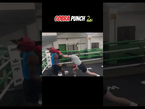 Cobra punch 🥊💀 #boxing #mma #martialarts #kickboxing #muaythai