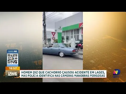 Câmeras de segurança desmentem: homem culpa cachorro, mas polícia aponta manobras perigosas