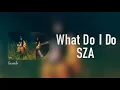 Lagu [Vietsub+Lyrics] What Do I Do - SZA