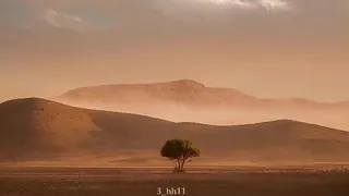 حالات واتس أب ماهر المعيقلي إنك ميت وإنهم ميتون 