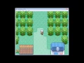 Pokemon Ruby Hacks 2015