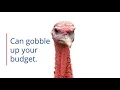 DTE Energy Home Protection Plus Gobble Up