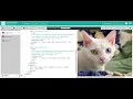 Lesson 2 Web Development Beginner Bit by Bit Coding