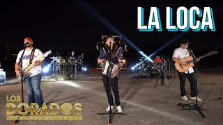 los dorados la loca en vivo