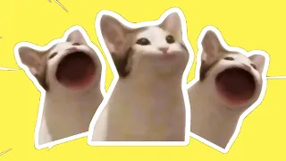 Download Pop Cat Meme Compilation | PopCat Best Dank Memes MP3