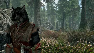 Skyrim 2026 #1 Zandor & Crew, Adventure