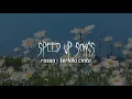 Download Lagu Rossa - Terlalu Cinta Speed Up Song