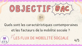 [BAC] Cours Mobilité Sociale - Analyse des flux de mobilité sociale