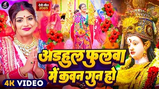  video 2025 adhaul ke fulwa me kavan gun