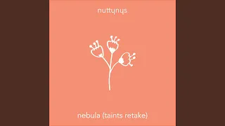 nebula taints retake 