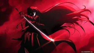 akame ga kill amv destiny