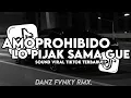 Download Lagu DJ BFUNK AMOPROHIBIDO X MELODY LO PIJAK SAMA GUE SEKARANG VIRAL TIKTOK TERBARU
