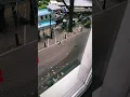 Download Lagu Seagulls terrorising Amsterdam city centre