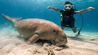 We Might Have Found the Best Place In The World for Scuba Diving!