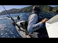 Download Lagu MASSIVE GREAT WHITE SHARK HUNTS MY KAYAK! ( Terrifying SOLO Encounter )