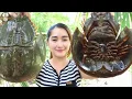 Download Lagu Awalnya Dikira Batu Biasa! TakDisangka Makhluk ini Harganya RATUSAN JUTA!!