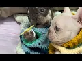 Download Lagu Ito ang ipinalit nila sa gatas ng nanay nila😱