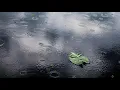 RAIN WEATHER SOUNDS FOR SLEEPING