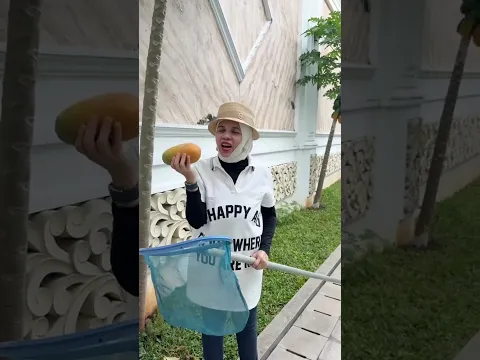 Jolok pepaya saingan sama batman? Codot apa burung 😅