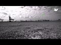 AVIX Bird detection system using machine learning artificial intelligence