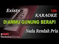 Download Lagu EXISTS - DIAMMU GUNUNG BERAPI ( NADA RENDAH PRIA ) || KARAOKE