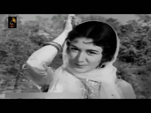 Ude Panchi Toli Me, Tujh Ko Mai Le Jaunga Bithlake Doli Me Video Thumbnail 