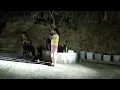 Download Lagu Ng. Puikim | Ayo Kita Goyang Dua Jari