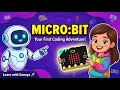 What is Micro bit Your First Step into Coding