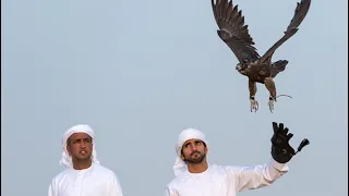 رموز الهجن كلمات فارس الثابتي واداء عبدالعزيز سويدان اهداء إلى سعيد ابن طراف المنصوري قومك مناصير  دندنها