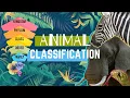 Animal Types Animal Classification Animal Groups