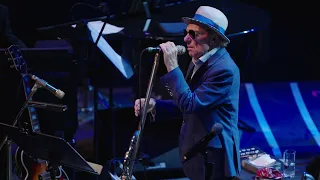 Van Morrison - Back to Writing Love Songs (Official Video)