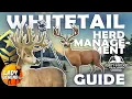 How to EASILY Spawn Your WHITETAIL GREAT ONE Using HERD MANAGEMENT
