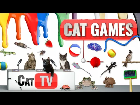 Download MP3 CAT Games | Ultimate Cat TV Compilation Vol 46 | 2 HOURS 🐝🐞🦋🦎🦜🐜🐭🧵