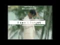 Sakanaction - 忘れられないの (I can't forget) with English and Japanese lyrics.