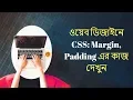 Web Design Bangla CSS margin padding Part 21