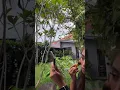 Lagu Hiruka - Anwar BAB (Behind the scenes)