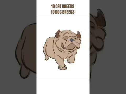 Every Dog Breed Is Built Differently