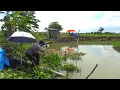 Download Lagu Mengerikan!! Mancing di sungai pedalaman Lamongan ternyata ikannya babon-babon tok