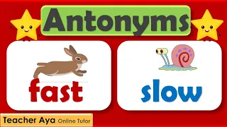 Antonyms Opposite meaning Learn the antonyms Examples of antonyms Lesson with quiz