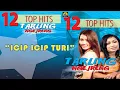 Download Lagu Top Hits Tarling - Icip Icip Turi (Karaoke)