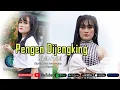 Download Lagu Ririn Arini - Pengen Dijengking [Official Video Musik]
