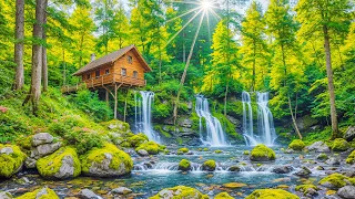 Beautiful Relaxing Music - Stop Overthinking, Stress Relief Music, Sleep Music, Calming Music #119