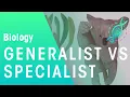 Generalists vs Specialists Ecology Environment Biology FuseSchool
