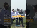 Download Lagu PRESIDEN JOKOWI MINTA BADAN PANGAN TETAPKAN HARGA GABAH