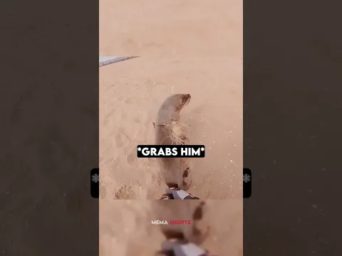 This Man Saw A Sea Lion