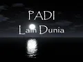 Padi - lain dunia