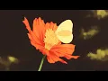 travis scott ~ butterfly effectﾉ slowed + reverb ﾉ